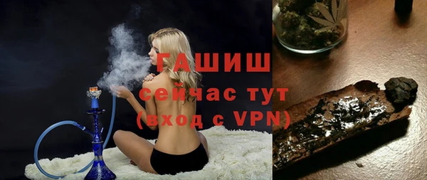 PSILOCYBIN Горно-Алтайск