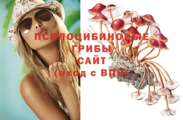 PSILOCYBIN Горно-Алтайск