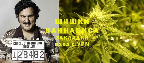 PSILOCYBIN Горно-Алтайск