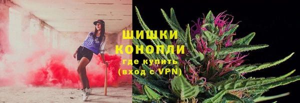 PSILOCYBIN Горно-Алтайск
