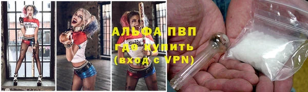 PSILOCYBIN Горно-Алтайск