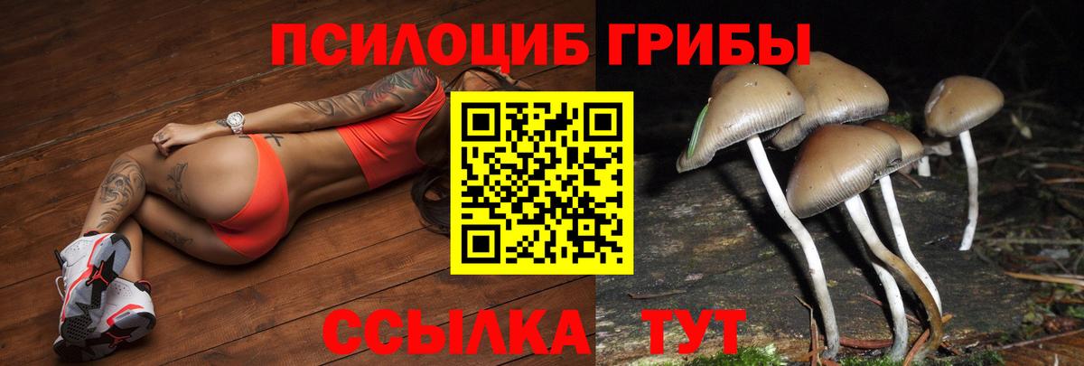 Псилоцибиновые грибы мицелий Изобильный