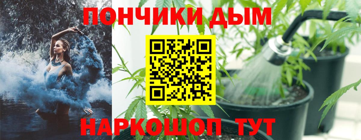 Каннабис марихуана  Конопля Ganja  Изобильный  Марихуана план 