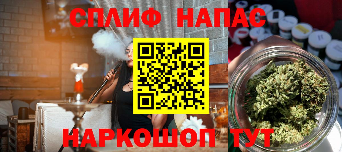 Канабис MAZAR Изобильный